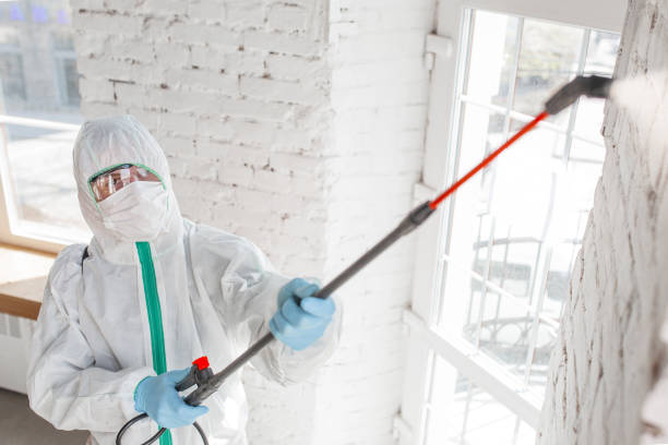 Mold Documentation for Insurance Claims in Oreland, PA