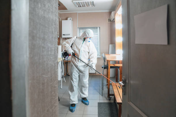 Best Post-Remediation Verification Testing  in Oreland, PA