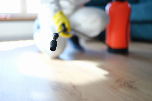 Best Dehumidification Services  in Oreland, PA