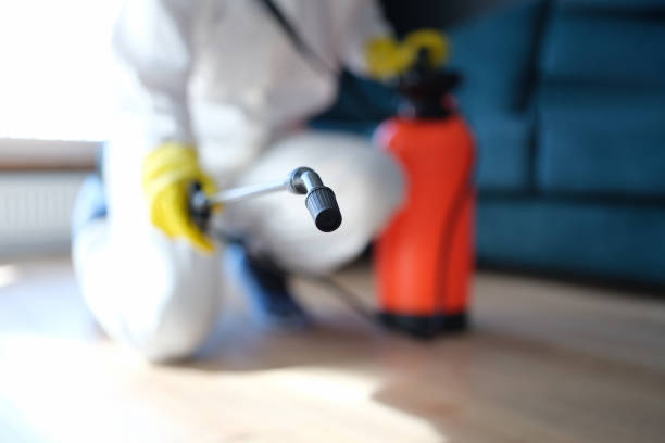  Oreland, PA Mold Removal Pros