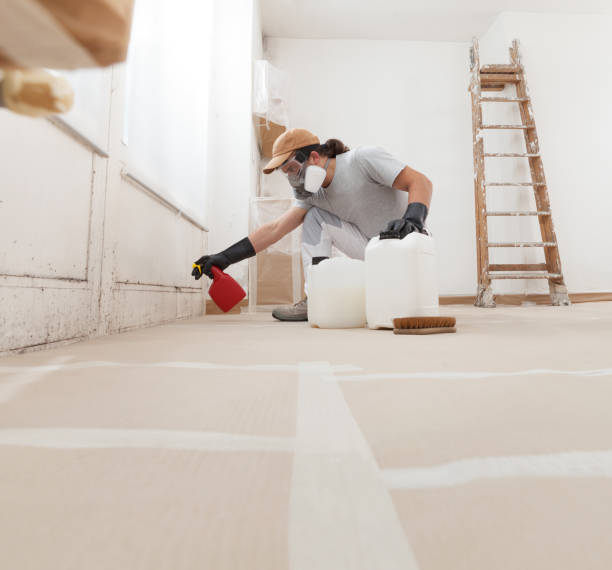 Best Crawl Space Mold Remediation  in Oreland, PA
