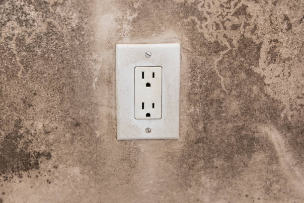 Best Post-Construction Mold Inspection  in Oreland, PA